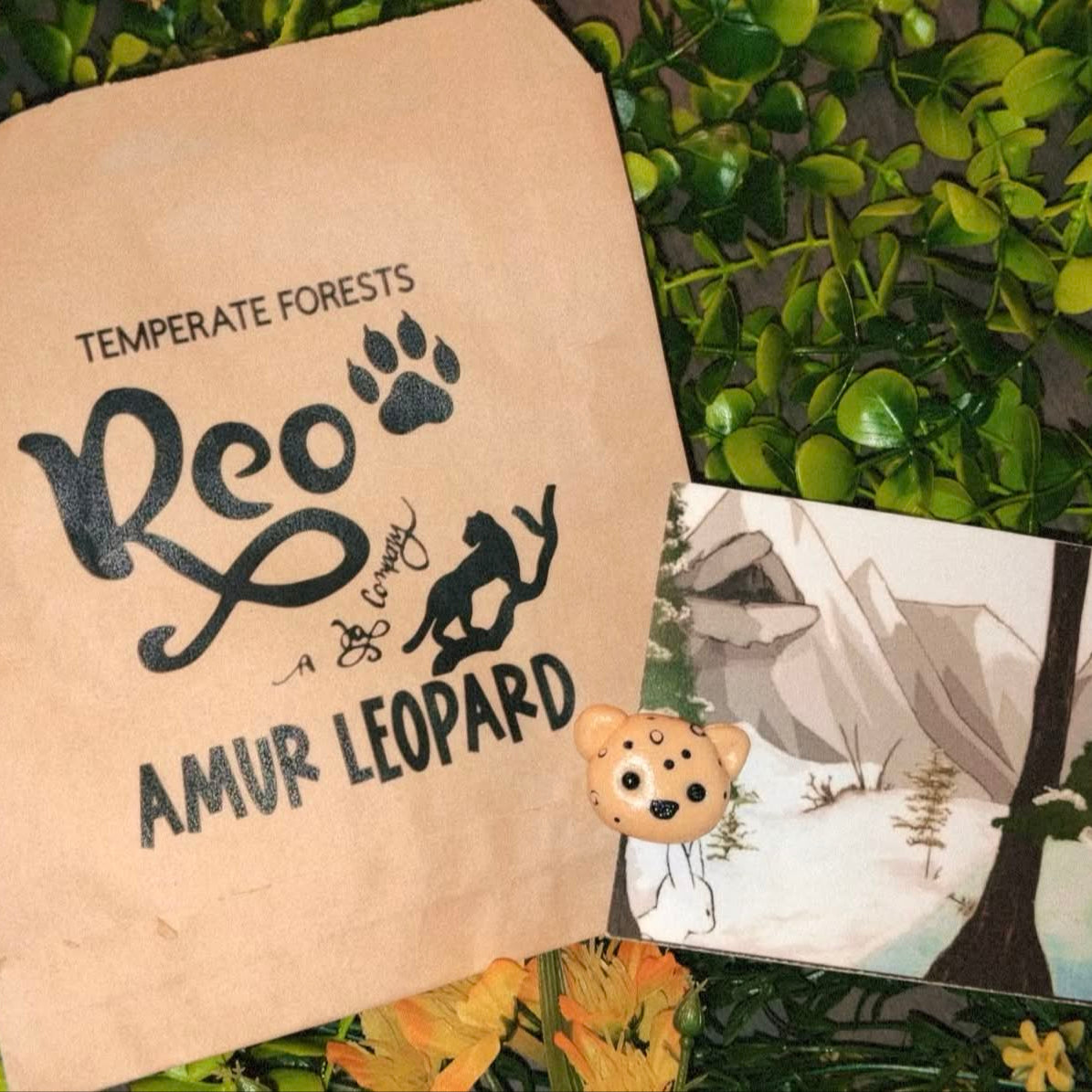 Amur Leopard packaging