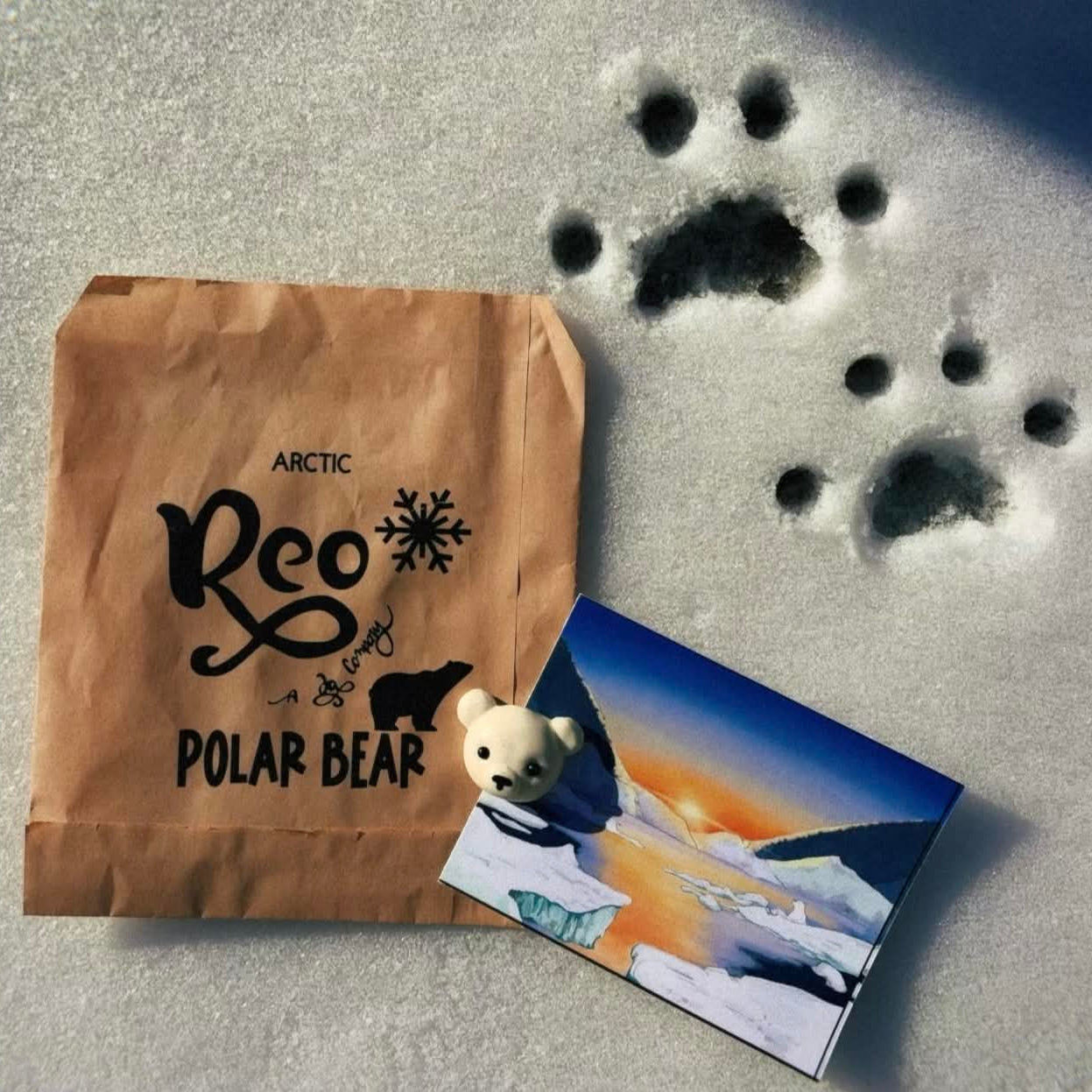 Polar Bear packaging